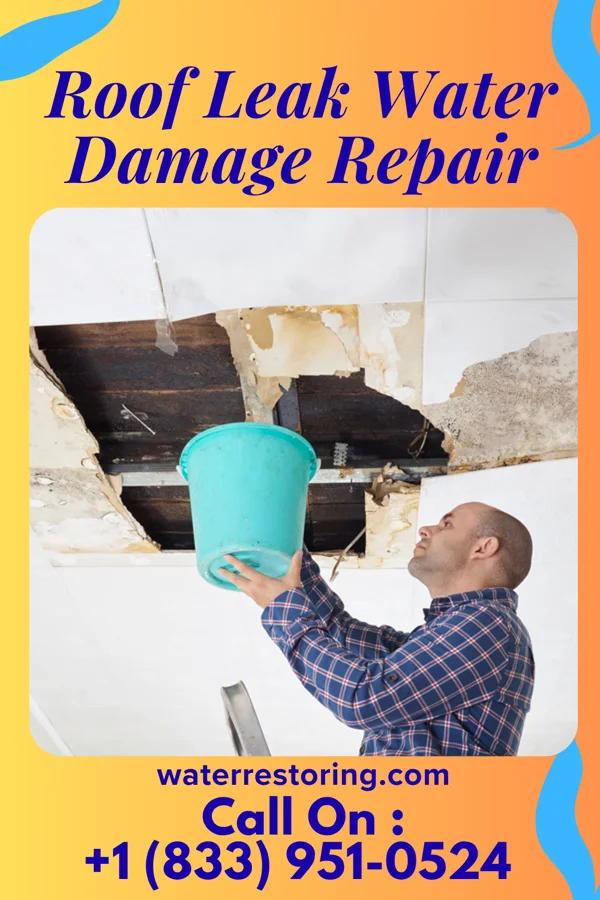 Roof Leak Water Damage Repair in Moravia, IA