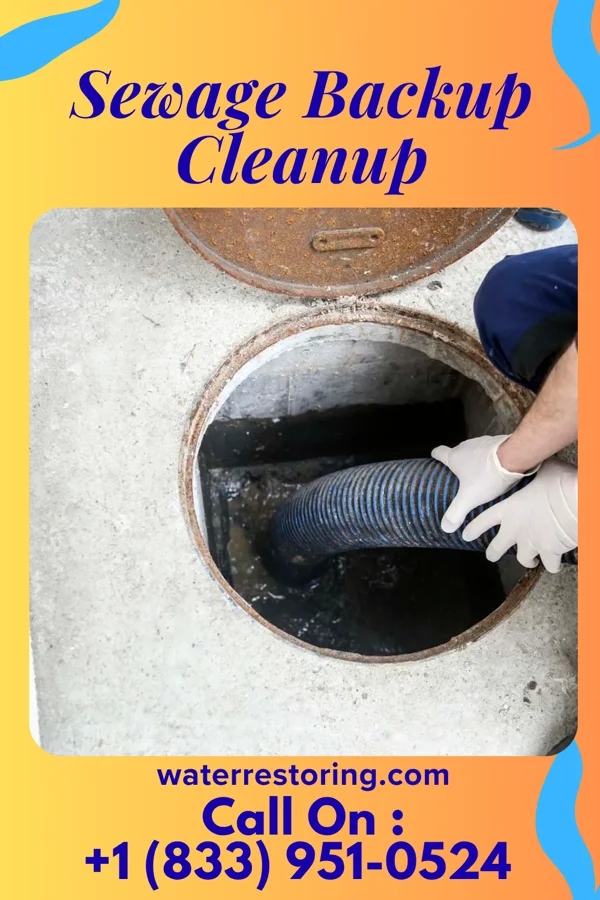 Sewage Backup Cleanup in Moravia, IA